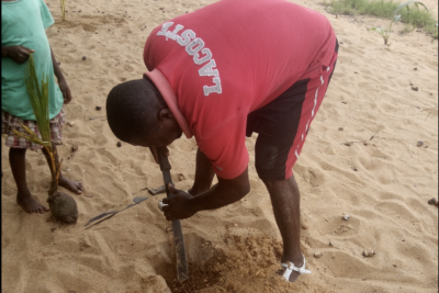 Agrandir l'image 3 sur 6, fenêtre modale